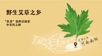 艾草越嫩越好，還是越久越好？悄悄告訴你：艾草這樣用，效果最好！