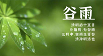 【二十四節(jié)氣灸】谷雨時(shí)節(jié)，用艾為您的健康加上一道保險(xiǎn)！