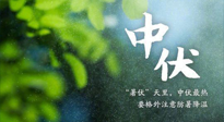 【三伏養(yǎng)生】至熱中伏，吃三樣，喝三樣，三大禁忌千萬別犯，小心落下病根！