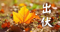 【三伏養(yǎng)生】出伏后做好養(yǎng)生很關(guān)鍵！一行要注意！
