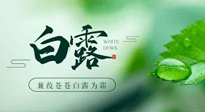 【二十四節(jié)氣灸】白露涼爽，養(yǎng)心肝脾胃、滋陰潤肺是關(guān)鍵！