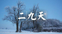 【三九養(yǎng)生】冬二九，扶陽(yáng)補(bǔ)腎氣，讓你陽(yáng)氣充足一整年！