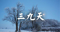 【三九養(yǎng)生】冬三九，三九第三灸，一年中最后艾灸黃金9天！
