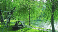 【養(yǎng)生知識】元宵入六九，春季已至，六九天的養(yǎng)生知識你知道多少？