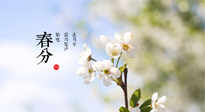 【二十四節(jié)氣灸】春分，平分了大地晝夜；艾灸，平衡了身體陰陽！