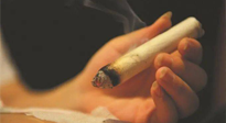 【艾灸知識】春暖花開，衣衫漸薄，再不減肥，身上的肉肉可藏不住了！