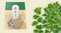【行業(yè)資訊】國內(nèi)首部艾草專著《南陽艾》，在南陽新書首發(fā)！
