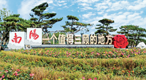 【行業(yè)資訊】南陽一個(gè)值得三顧的地方！“丹江水”“仙草艾”成為 “南陽禮物”新爆款！
