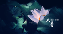 【二十四節(jié)氣灸】趁大暑好好艾灸，才不辜負(fù)三伏天的驕陽(yáng)！