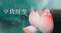【艾灸三伏天】中伏：三伏灸的關(guān)鍵轉(zhuǎn)折點(diǎn)！“灸”除病根的大好時(shí)機(jī)！