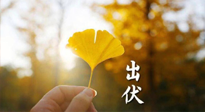 【艾灸三伏天】出伏啦！三防三宜兩穴位，防止身體“秋后算賬”！
