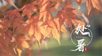 【二十四節(jié)氣灸】處暑，冬病夏治倒計時！秋涼真的要來了！