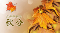 【二十四節(jié)氣灸】秋分節(jié)氣，平衡陰陽，巧用艾灸，潤燥養(yǎng)肺是關(guān)鍵！