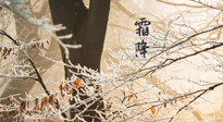 【二十四節(jié)氣灸】霜降節(jié)氣：艾灸四穴，護您冬天安然無恙！