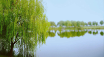 【艾灸知識(shí)】春三月，必艾灸穴位：疏肝理氣，養(yǎng)血調(diào)神！