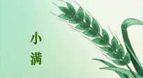 【二十四節(jié)氣灸】小滿節(jié)氣記得艾灸，悠悠長夏，健康度過！