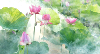 【養(yǎng)生知識(shí)】花開(kāi)半夏，夏至養(yǎng)生，這些知識(shí)一定要牢記！
