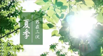 【艾灸三伏天】今年三伏不一般，仙草小助理建議大家早作準備哦！