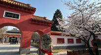 【行業(yè)資訊】新華財經(jīng)：守正創(chuàng)新，中醫(yī)藥品牌化發(fā)展“更上一層樓”！