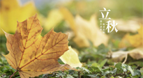 【節(jié)氣養(yǎng)生】甲辰立秋，“2做”、“2不做”，護(hù)好我們身體的正氣，預(yù)防外邪的侵襲！