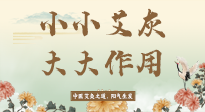 【艾草知識】艾灰真是個巨好用的東西，?它的神奇功效，你知道多少？